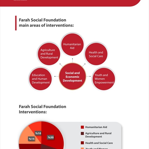 Farah Social Foundation Main Areas of Intervention